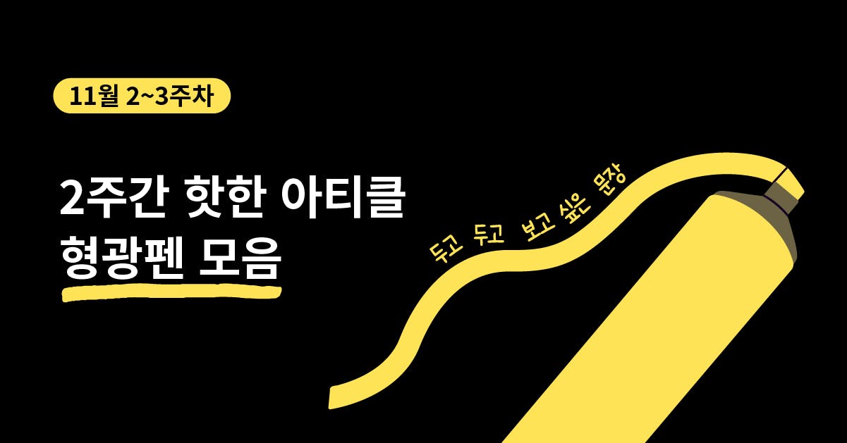 11월 2주차 ~ 3주차 퍼블리 아티클 형광펜 모음